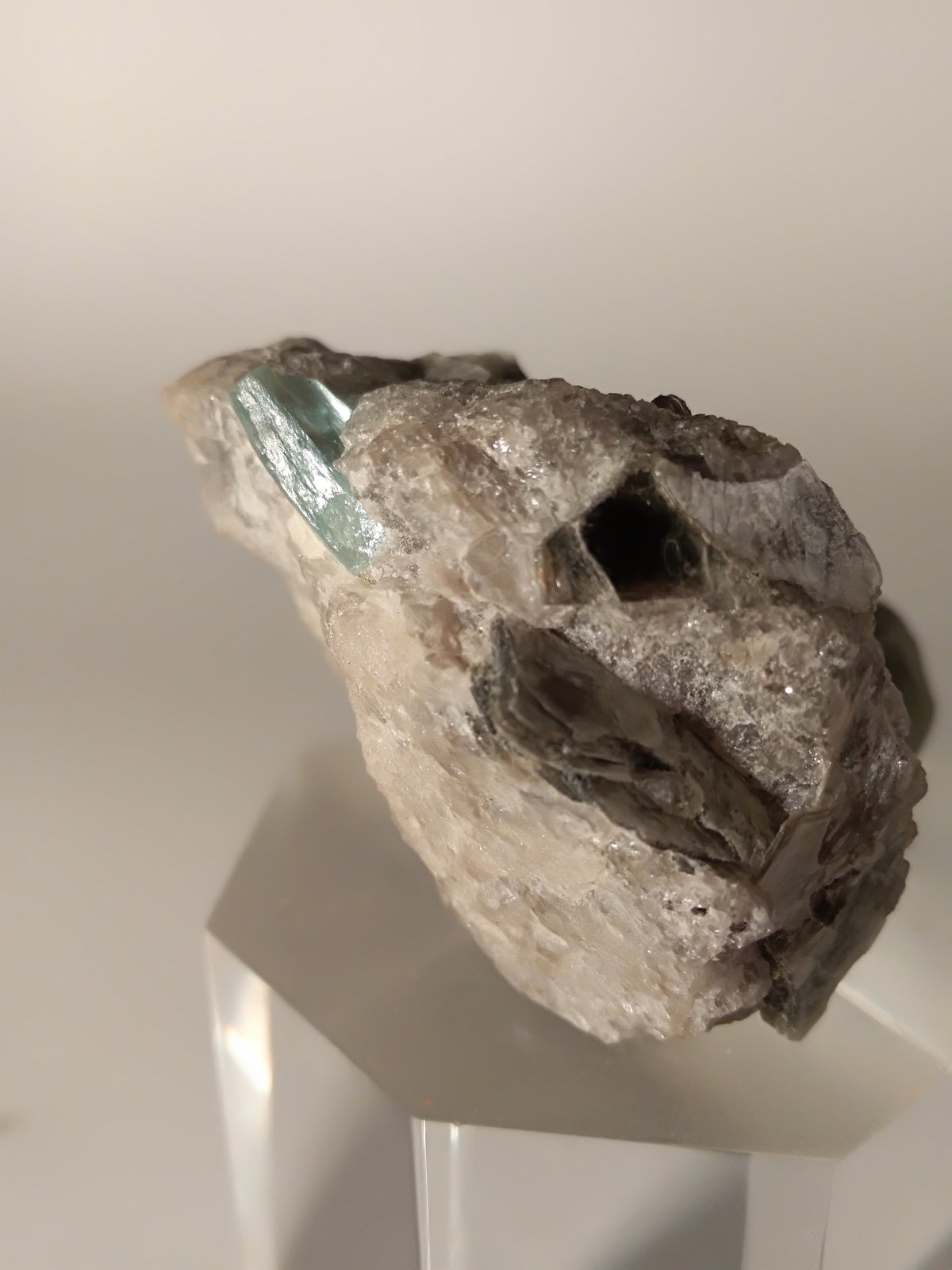 Berilo (variedad aguamarina)
34,5 x 31,6 mm
(Autor: Sante Celiberti)