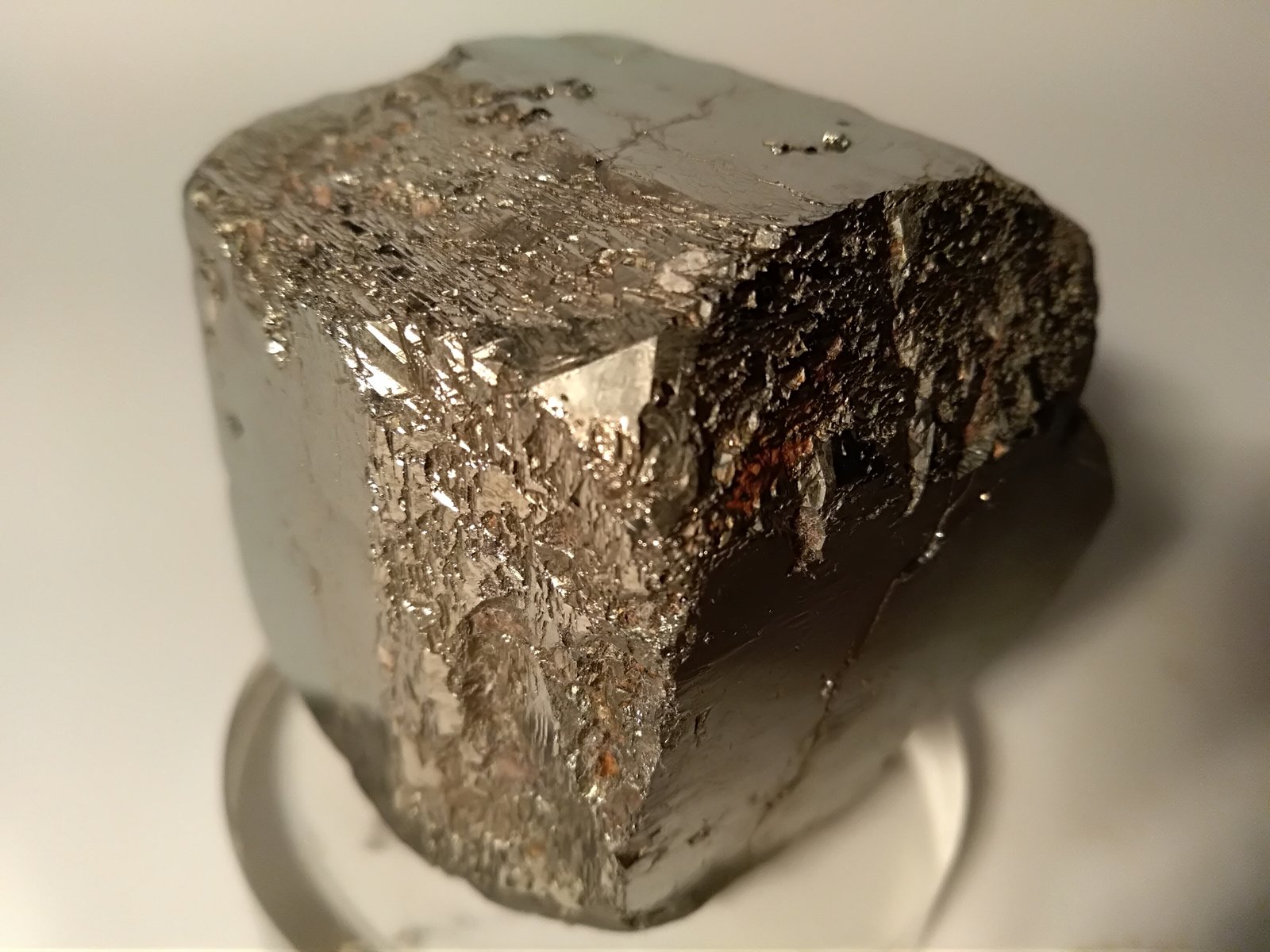 Pirita
56 x 50 mm
(Autor: Sante Celiberti)