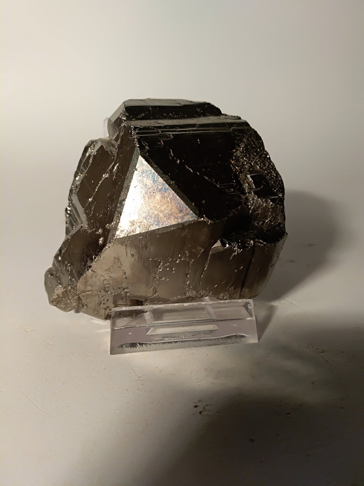 Pirita
65 x 72 mm
(Autor: Sante Celiberti)