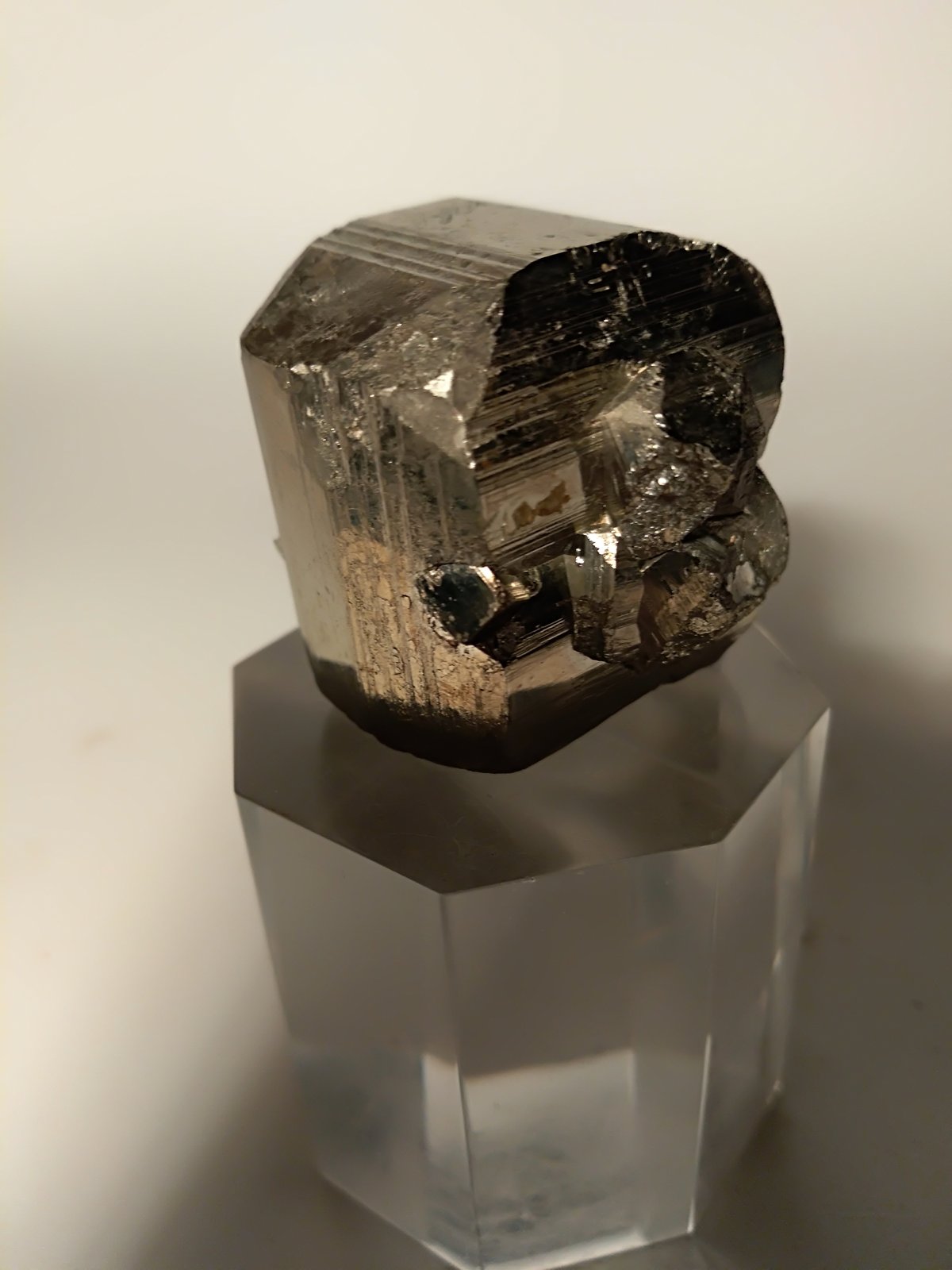 Pirita
31,3 x 33 mm
(Autor: Sante Celiberti)