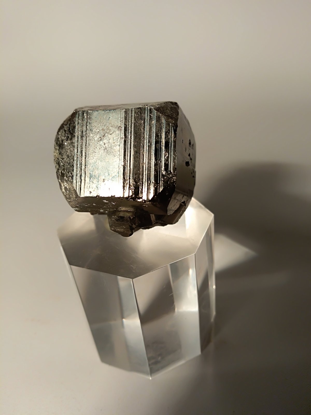 Pirita
31,3 x 33 mm
(Autor: Sante Celiberti)