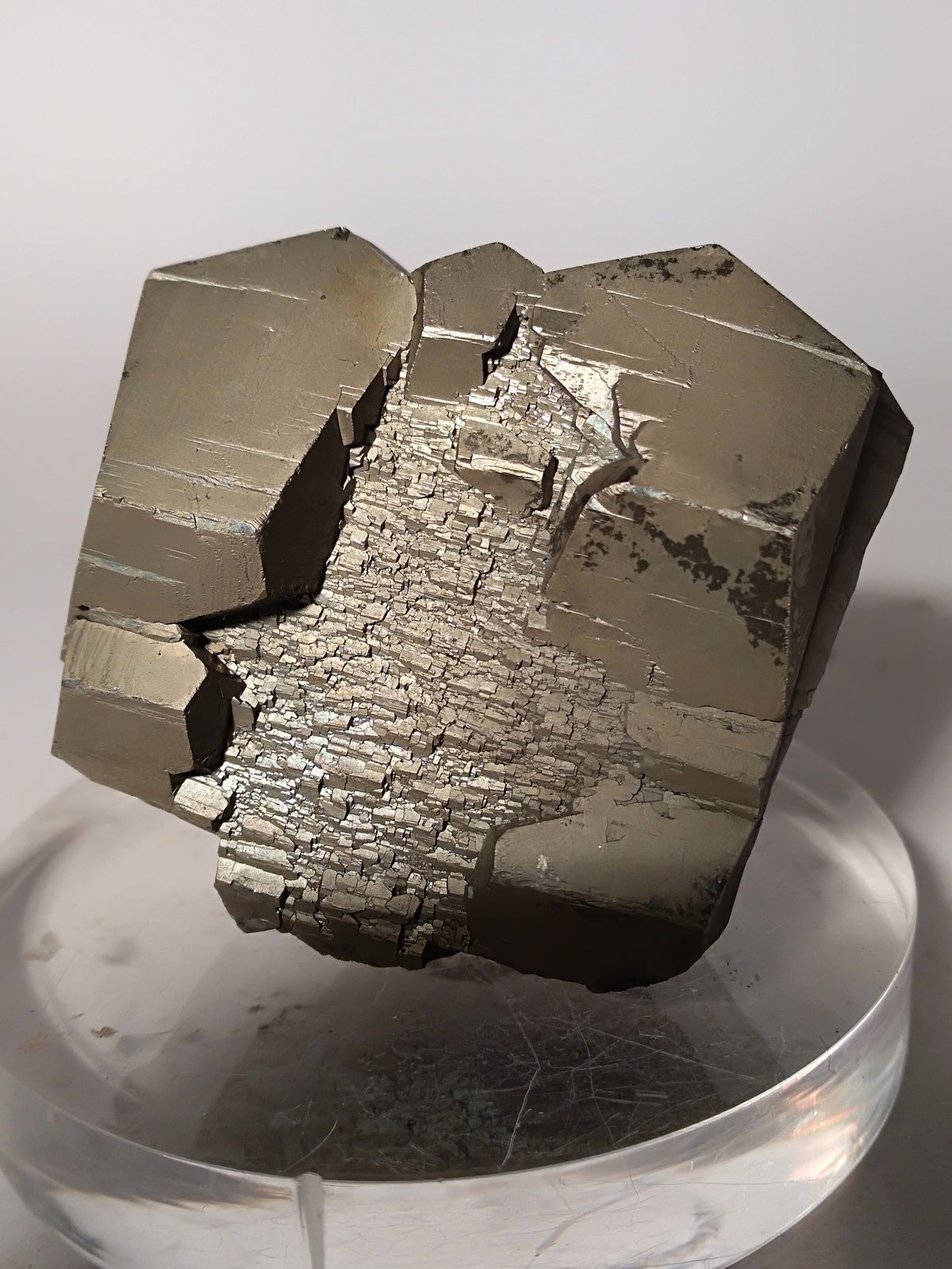 Pirita
46,4 x 45 mm
(Autor: Sante Celiberti)