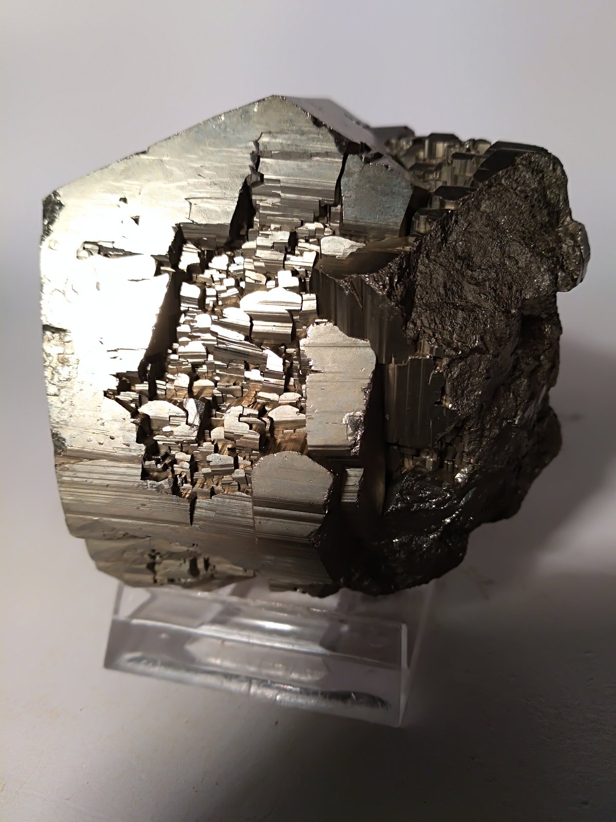 Pirita
65 x 72 mm
(Autor: Sante Celiberti)