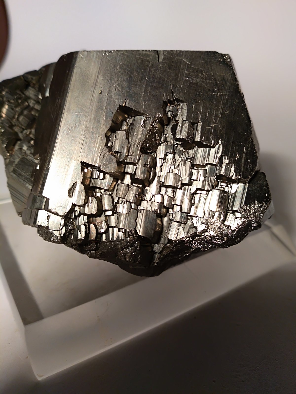 Pirita
65 x 72 mm
(Autor: Sante Celiberti)