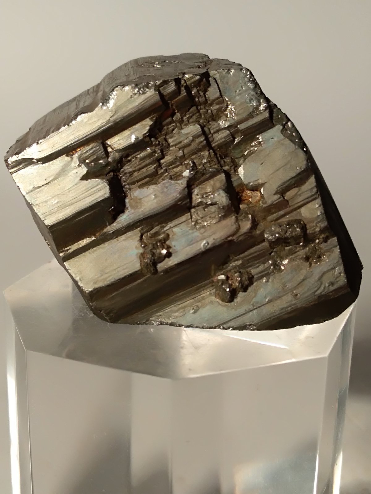 Pirita
30,5 x 35 mm
(Autor: Sante Celiberti)