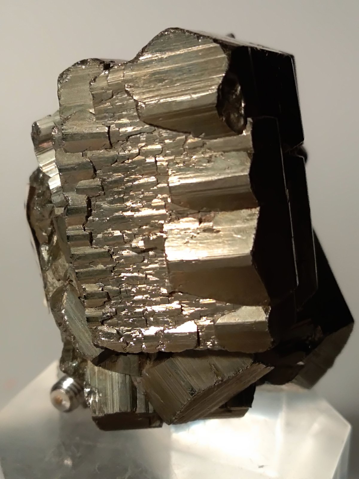 Pirita
45 x 46 mm
(Autor: Sante Celiberti)