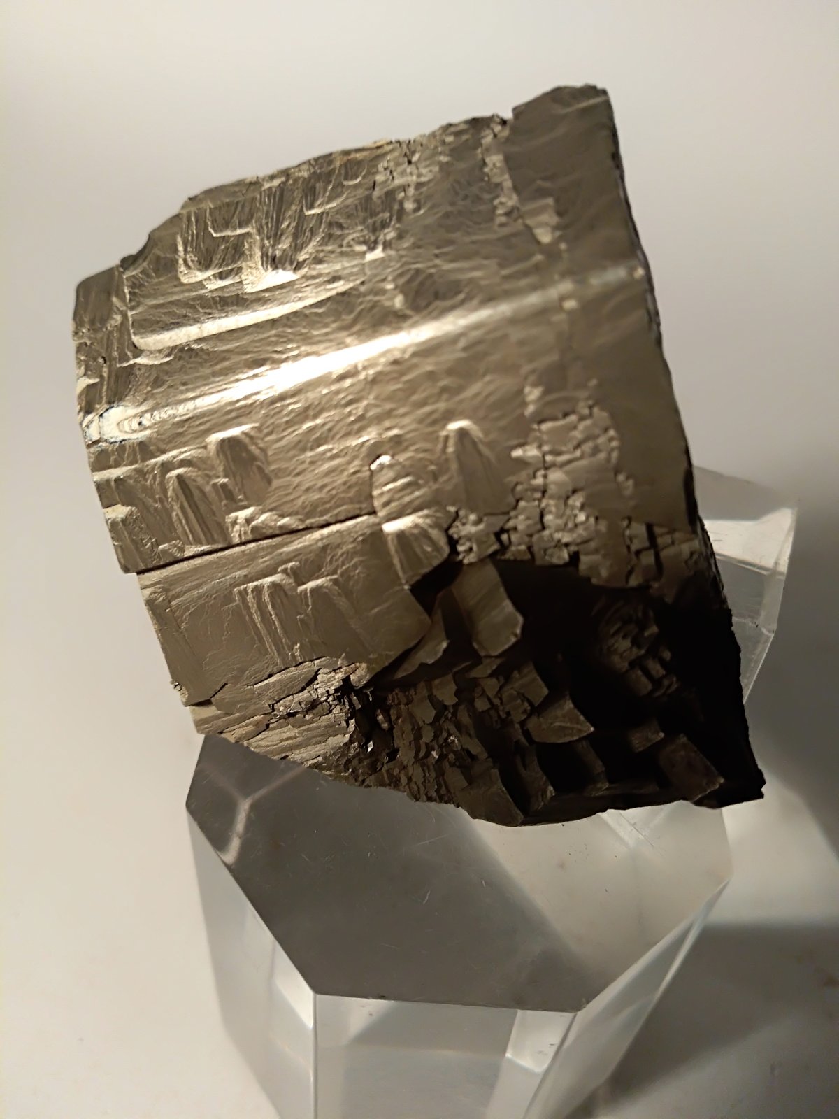 Pirita
42,6 x 46,5 mm
(Autor: Sante Celiberti)
