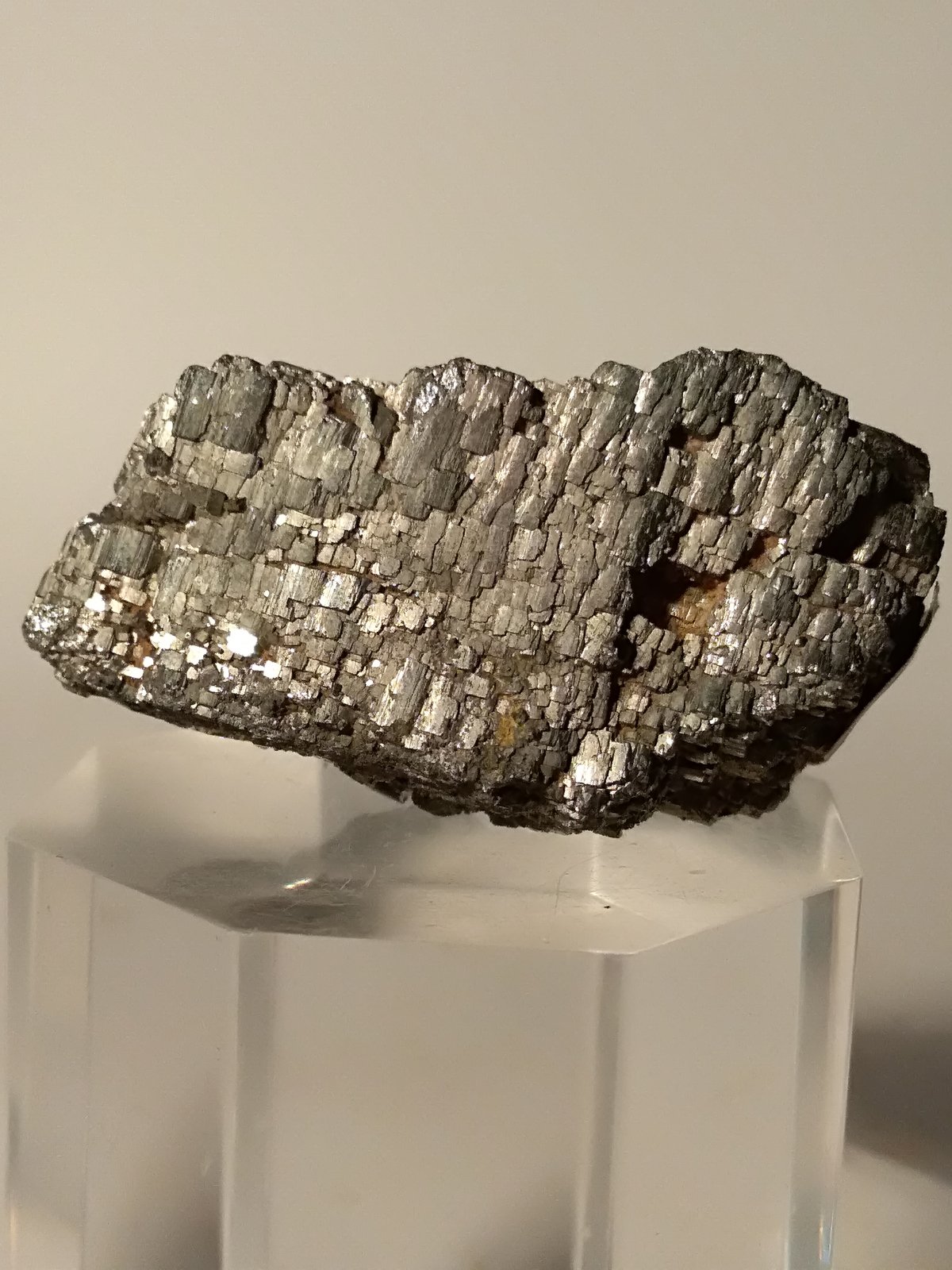 Pirita
45,5 x 26 mm
(Autor: Sante Celiberti)
