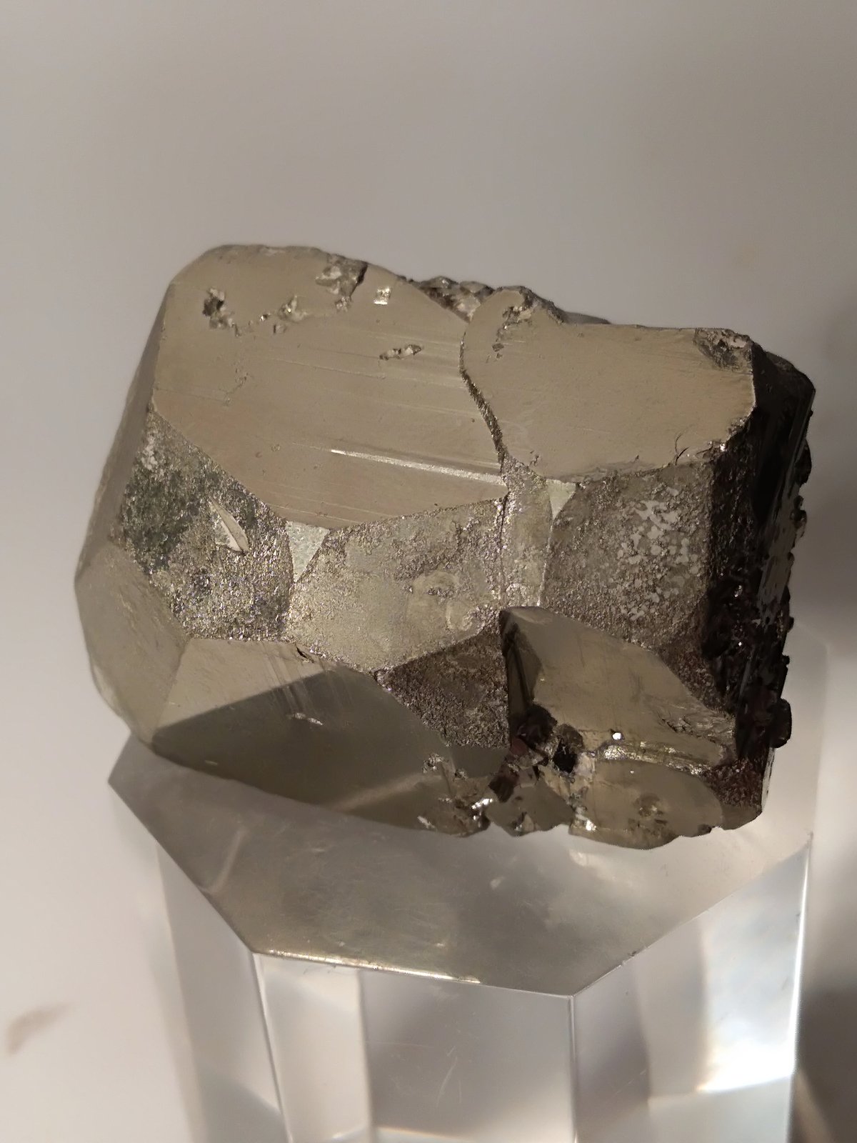 Pirita
30,2 x 37,2 mm
(Autor: Sante Celiberti)
