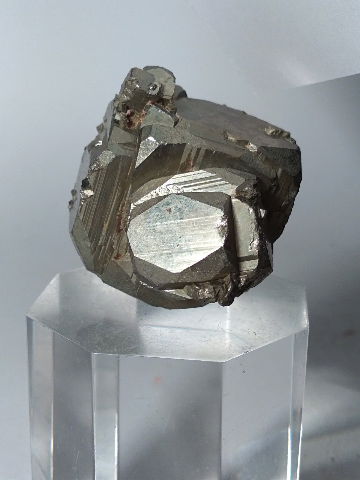 Pirita
41 x 41 mm
(Autor: Sante Celiberti)