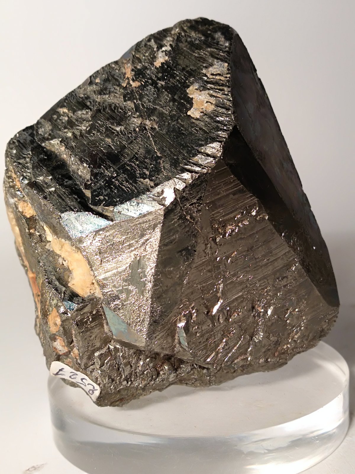 Pirita
53 x 52,5 mm
(Autor: Sante Celiberti)