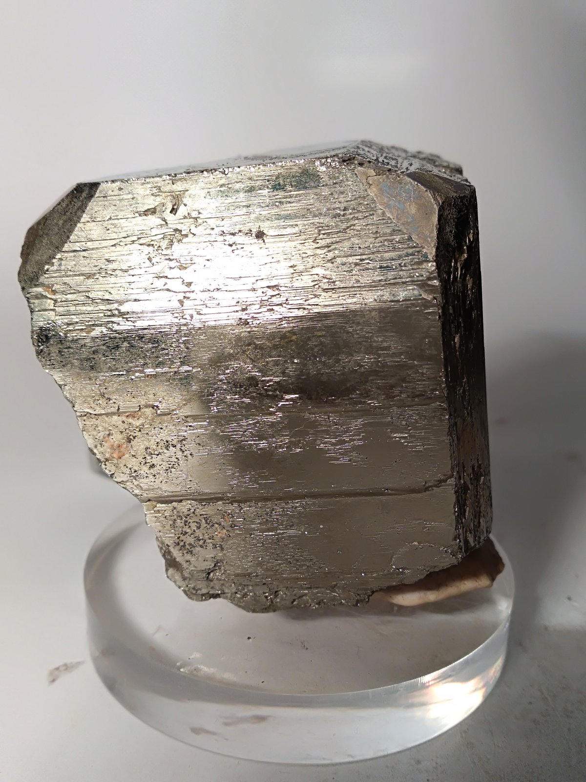 Pirita
53 x 52,5 mm
(Autor: Sante Celiberti)