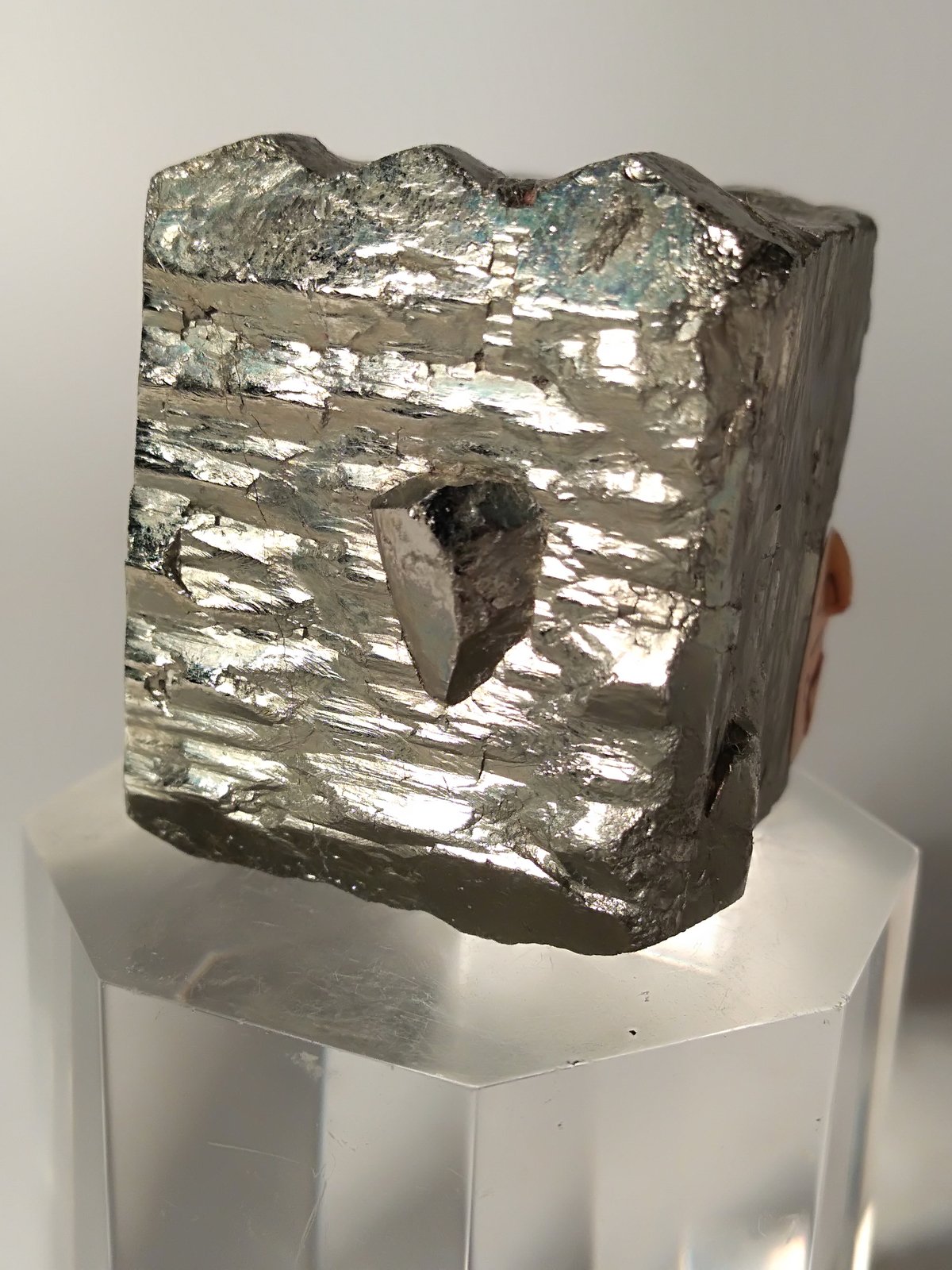 Pirita
32,5 x 29,3 mm
(Autor: Sante Celiberti)
