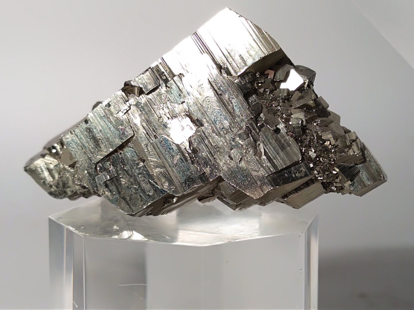 Pirita
45,6 x 38 mm
(Autor: Sante Celiberti)