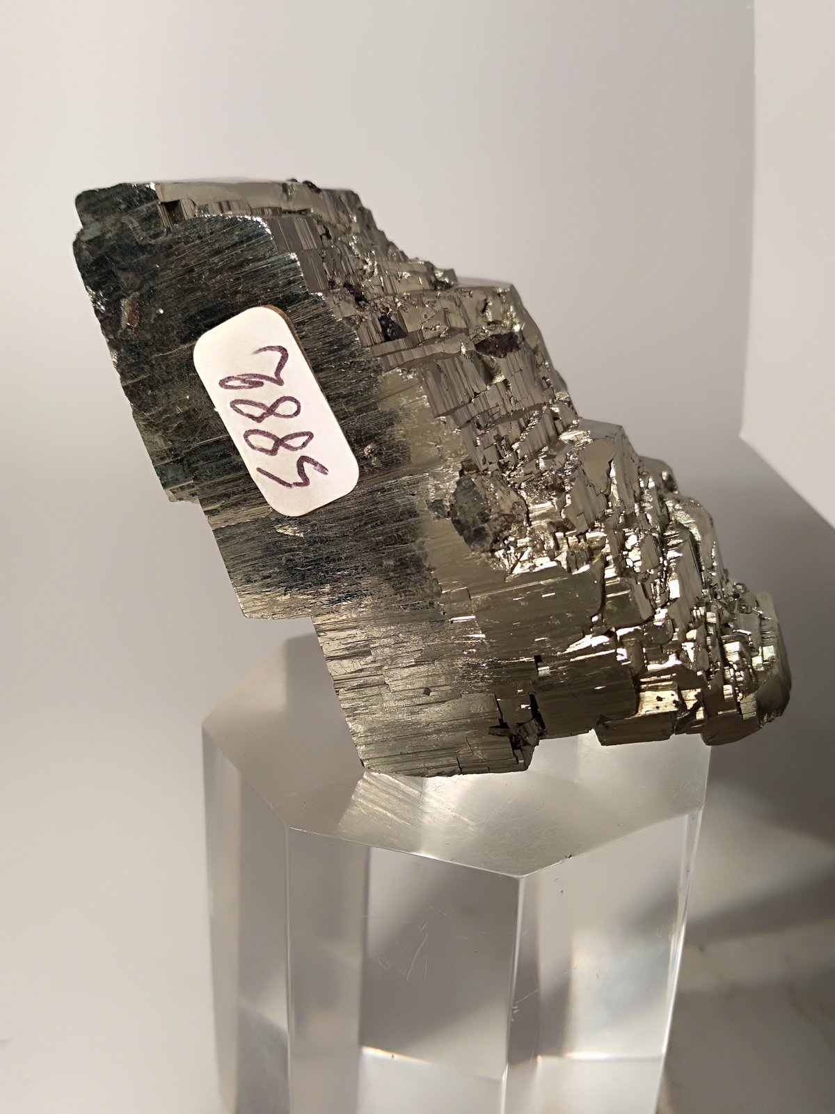 Pirita
45,6 x 38
(Autor: Sante Celiberti)