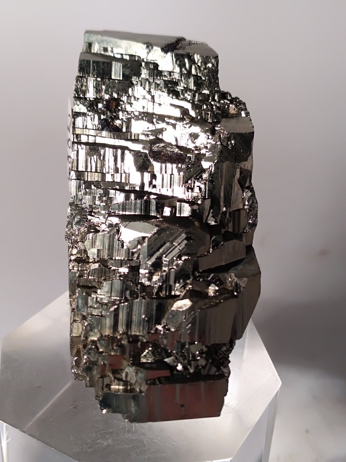 Pirita
45,6 x 38 mm
(Autor: Sante Celiberti)