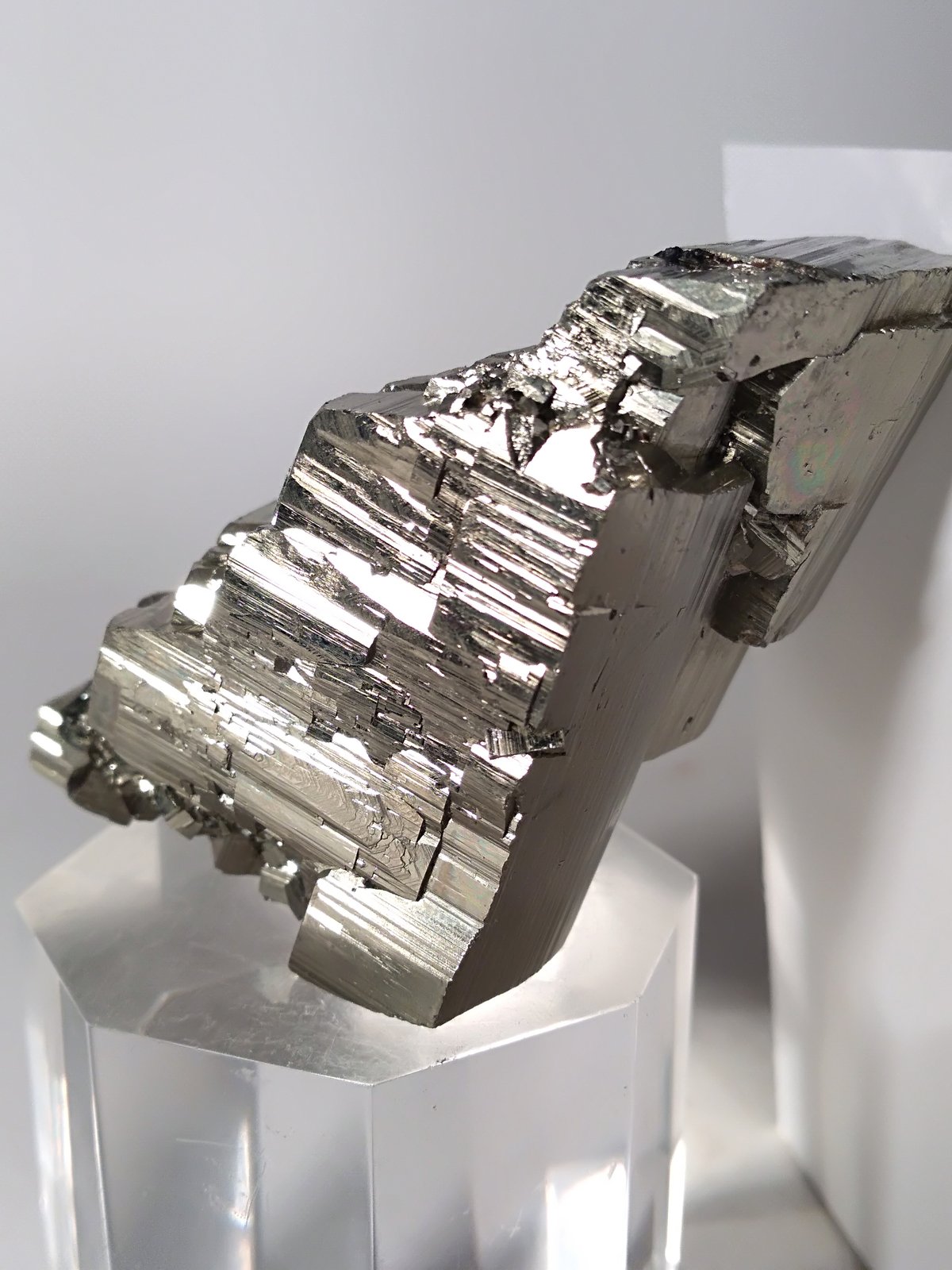 Pirita
45,6 x 38 mm
(Autor: Sante Celiberti)