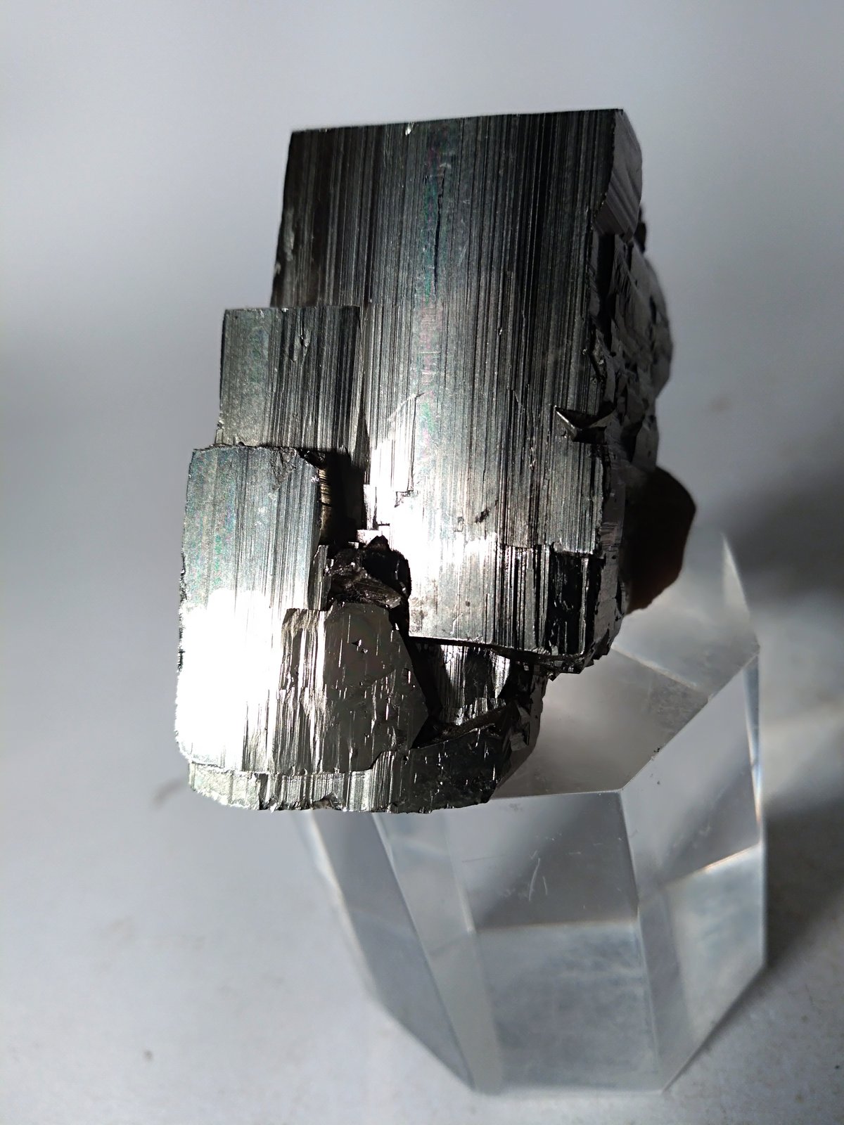Pirita
45,6 x 38 mm
(Autor: Sante Celiberti)