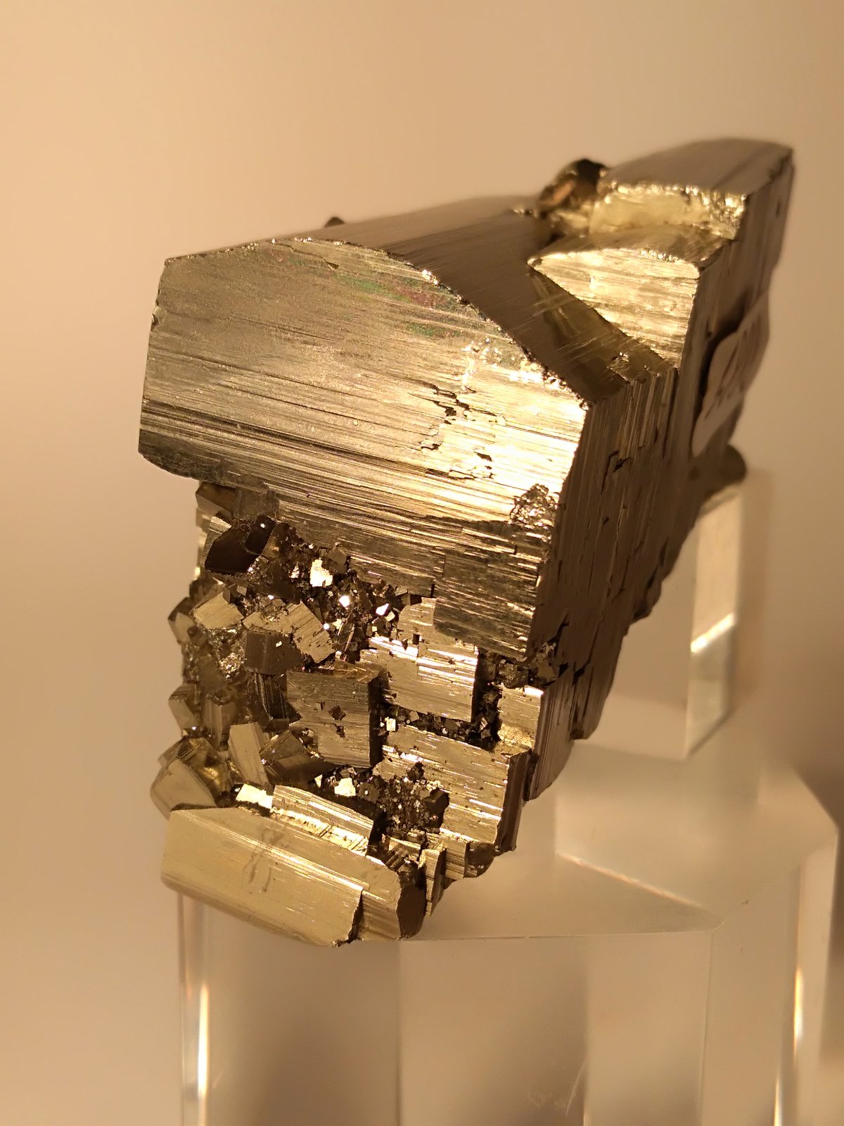 Pirita
45,6 x 38 mm
(Autor: Sante Celiberti)
