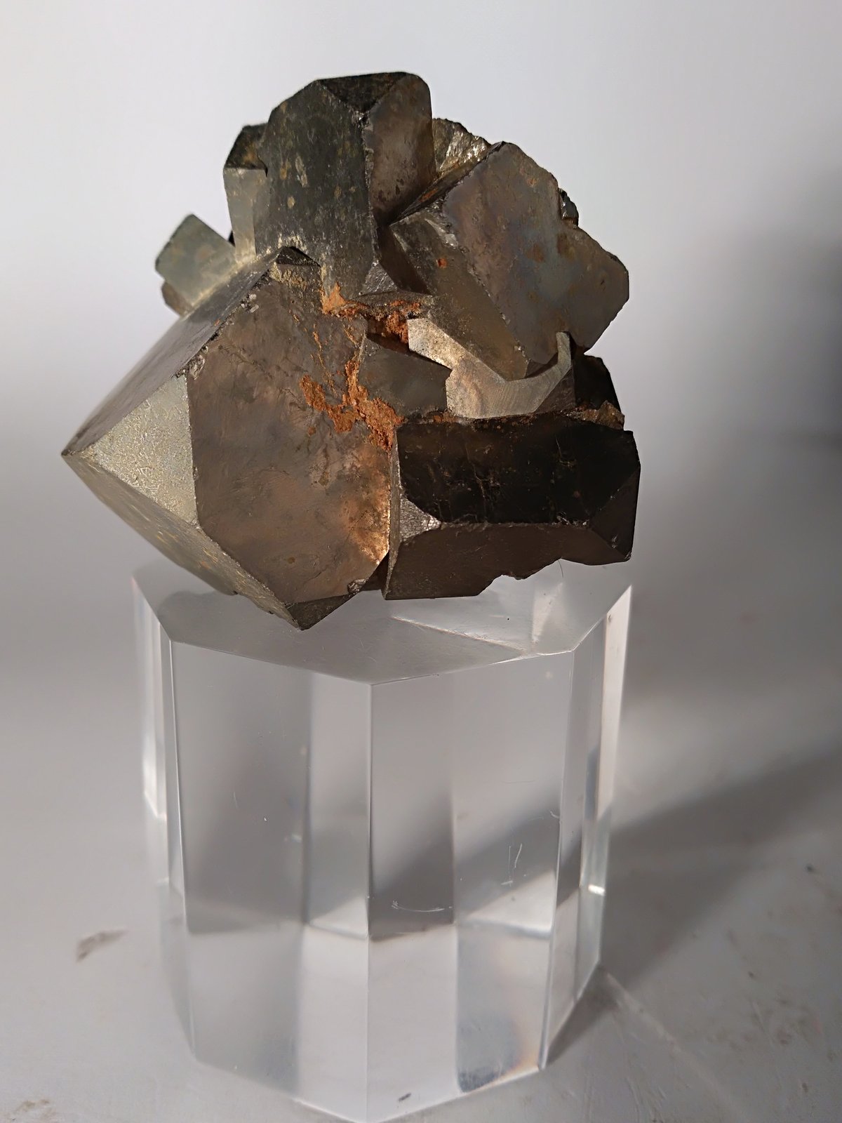 Pirita
48 x 38 mm
(Autor: Sante Celiberti)