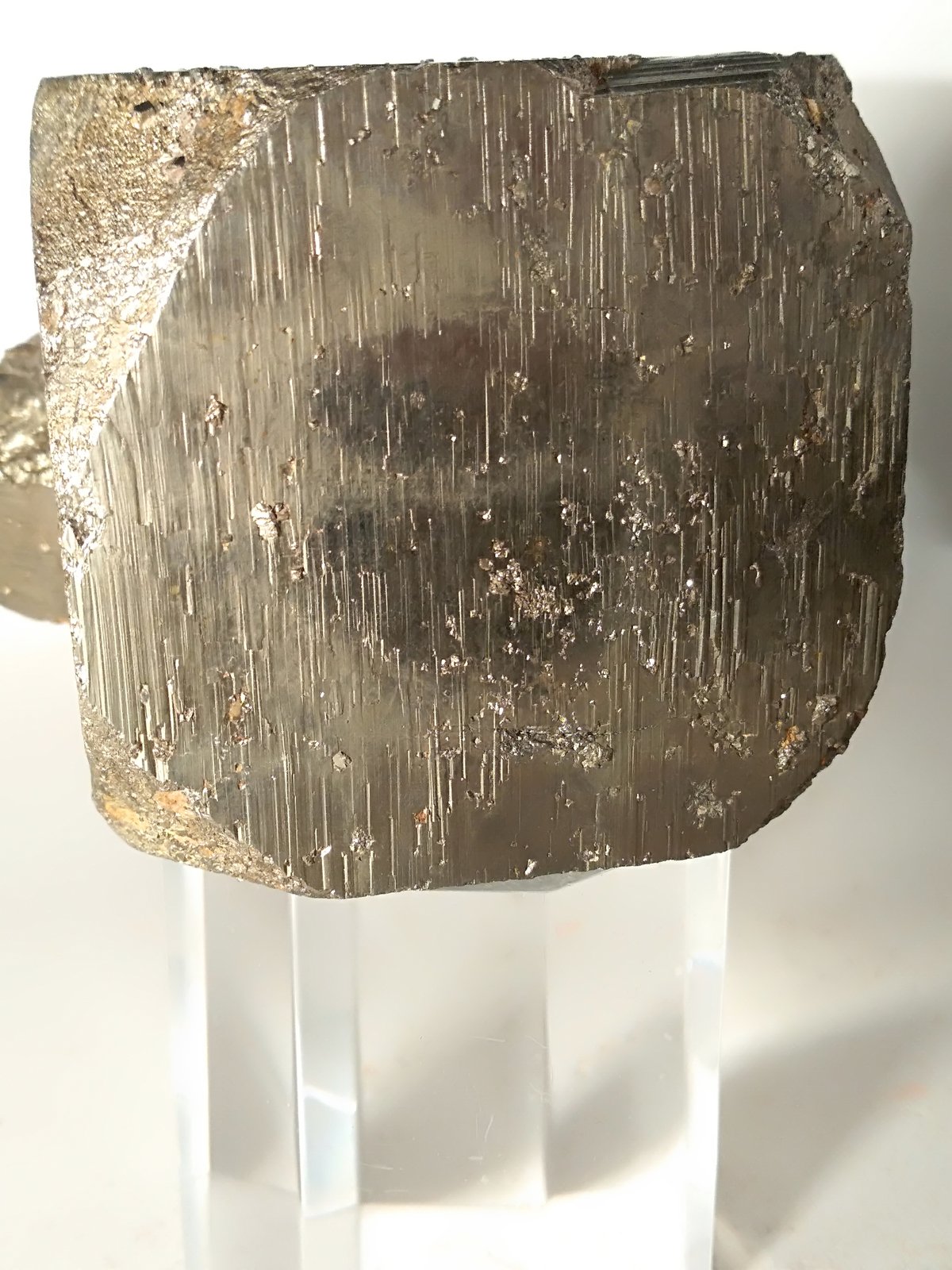 Pirita
52 x 48 mm
(Autor: Sante Celiberti)