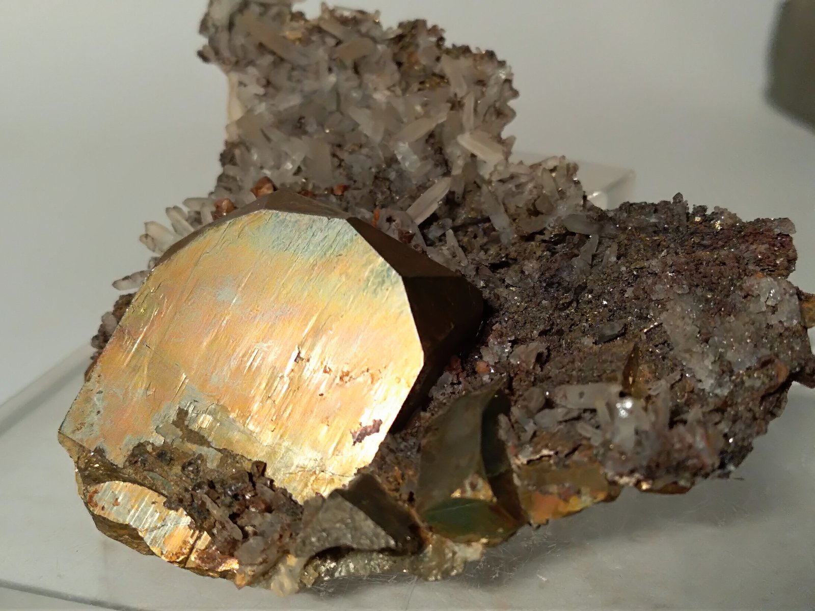 Pirita, Cuarzo
56,7 x 65,3 mm
(Autor: Sante Celiberti)