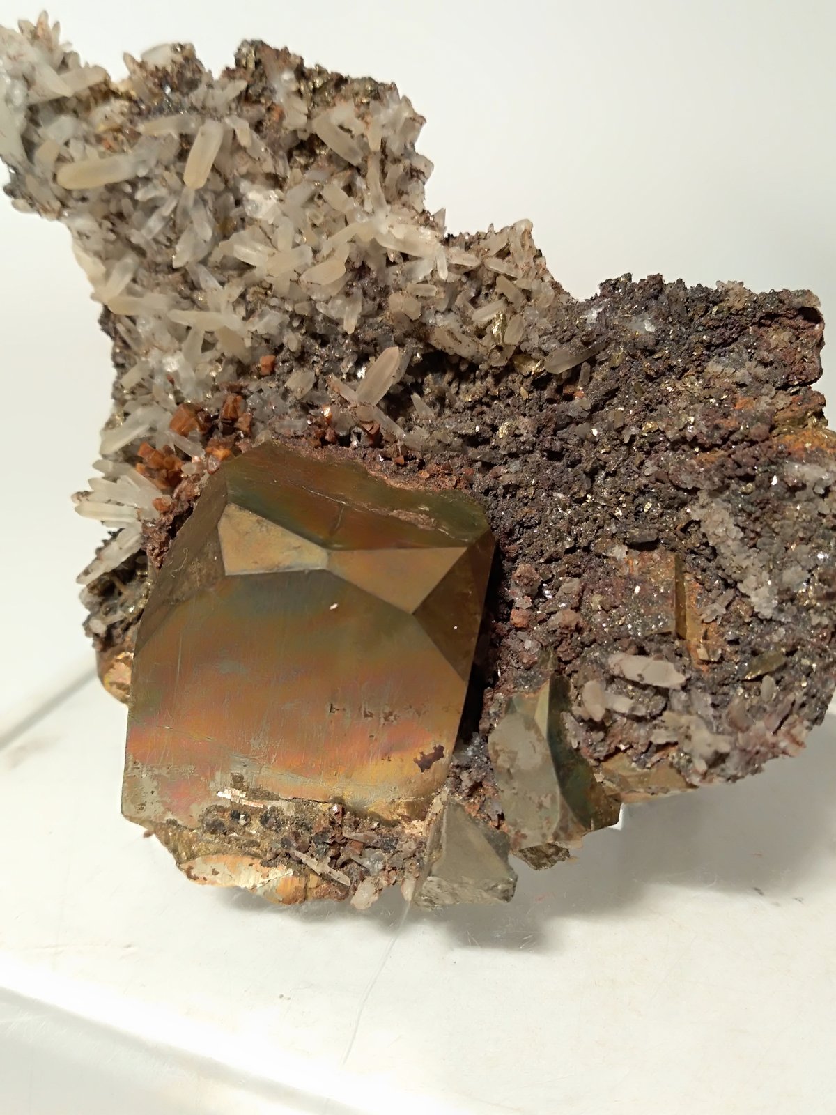 Pirita, Cuarzo
56,7 x 65,3 mm
(Autor: Sante Celiberti)