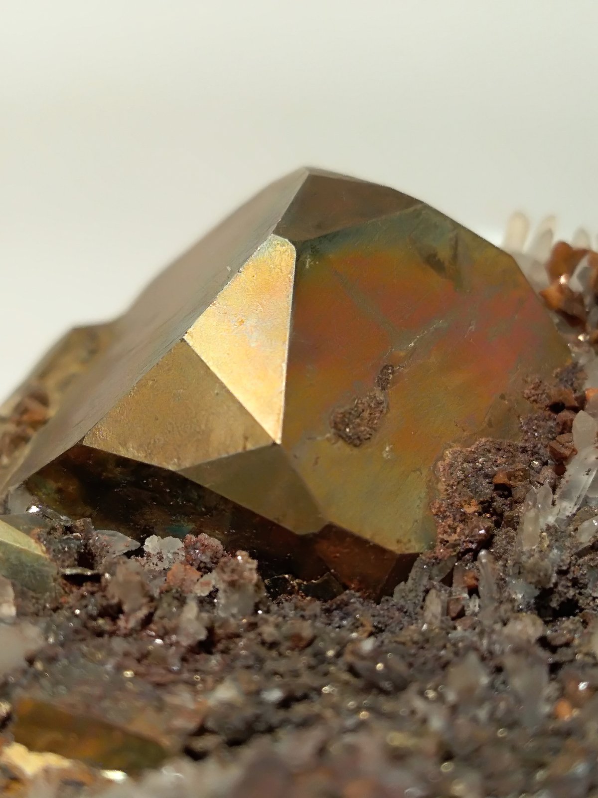 Pirita, Cuarzo
56,7 x 65,3 mm
(Autor: Sante Celiberti)