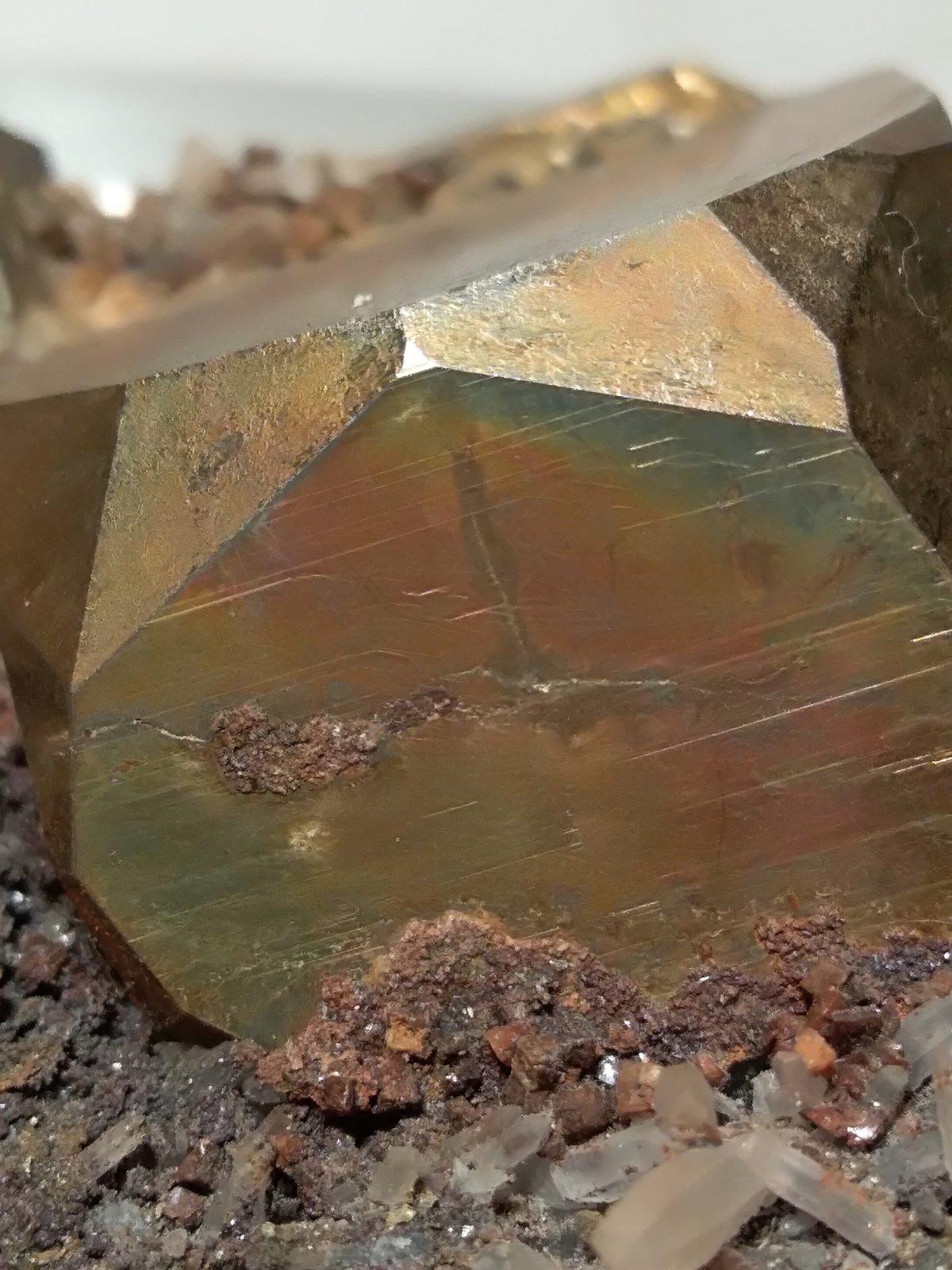 Pirita, Cuarzo
56,7 x 65,3 mm
(Autor: Sante Celiberti)