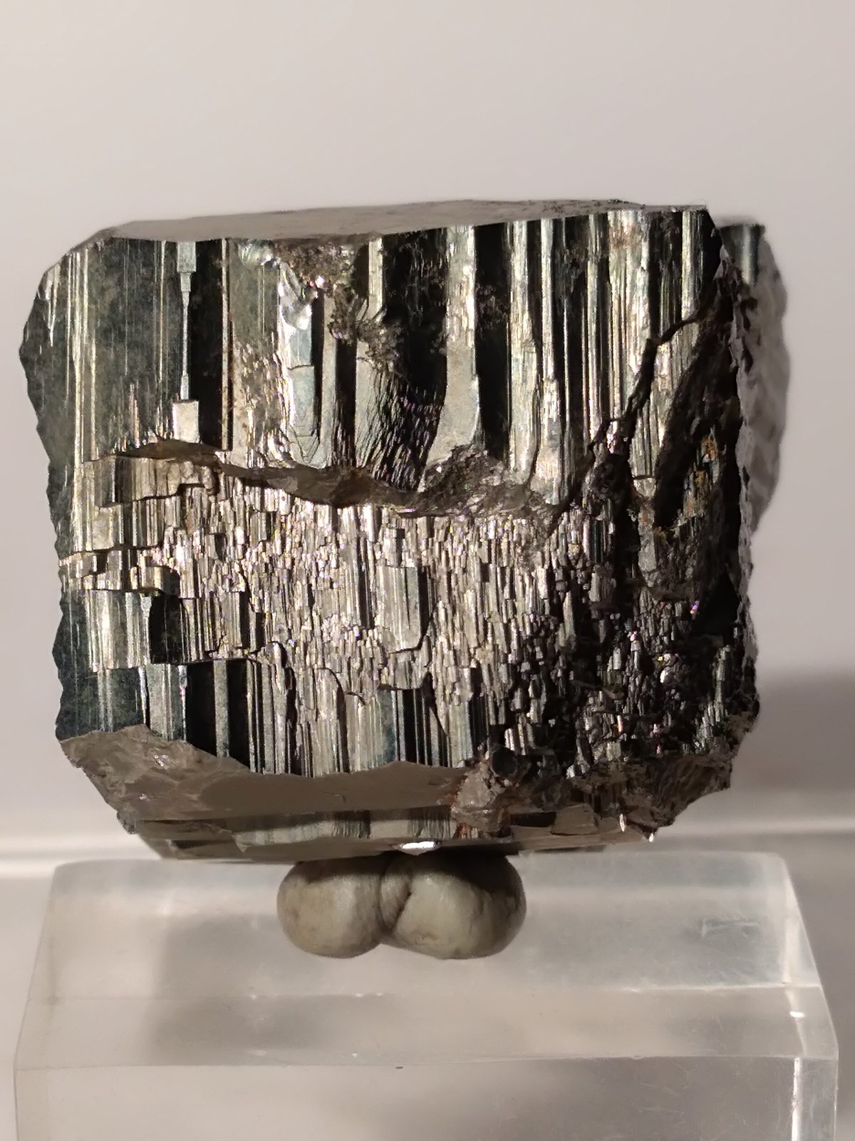 Pirita
65,8 x 30,5 mm
(Autor: Sante Celiberti)