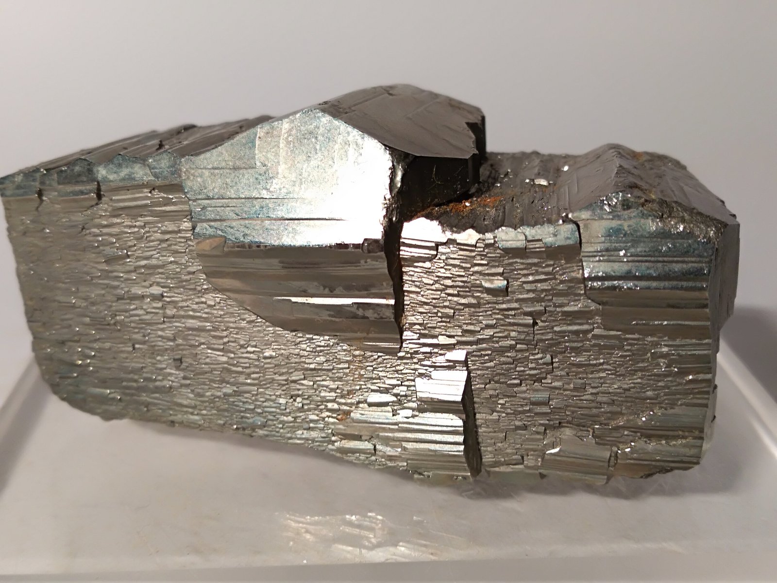 Pirita
65,8 x 30,5 mm
(Autor: Sante Celiberti)