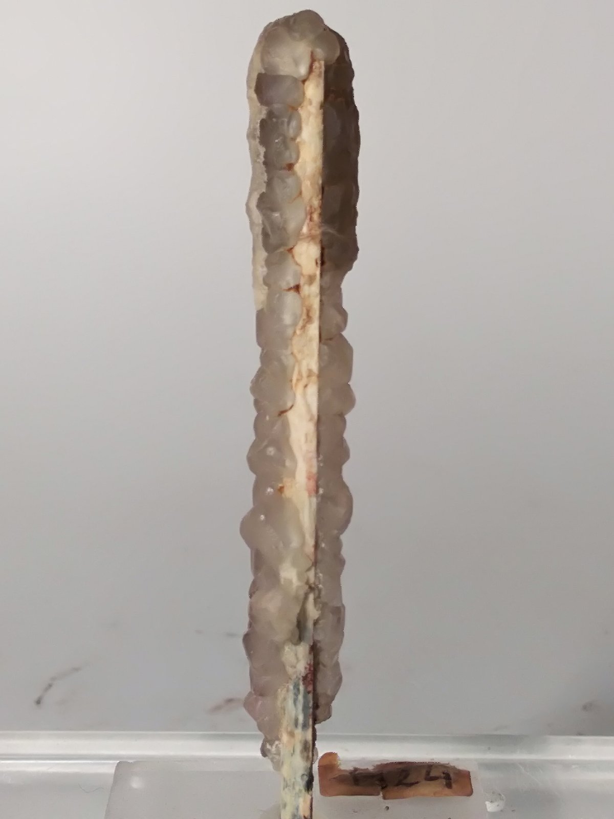 Stibnita (Estibina), Stibiconita, Fluorita
60 x 8,2 mm
(Autor: Sante Celiberti)