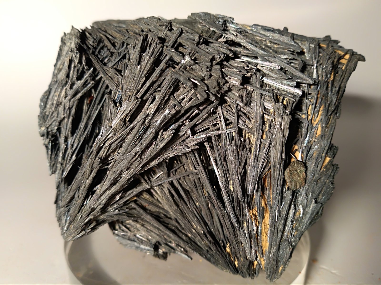 Stibnita (Estibina), Pirita
68,8 x 58,8
(Autor: Sante Celiberti)