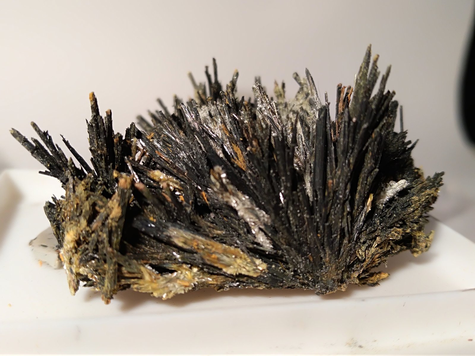 Stibnita (Estibina), Klebelsbergita
47 x 35 mm
(Autor: Sante Celiberti)