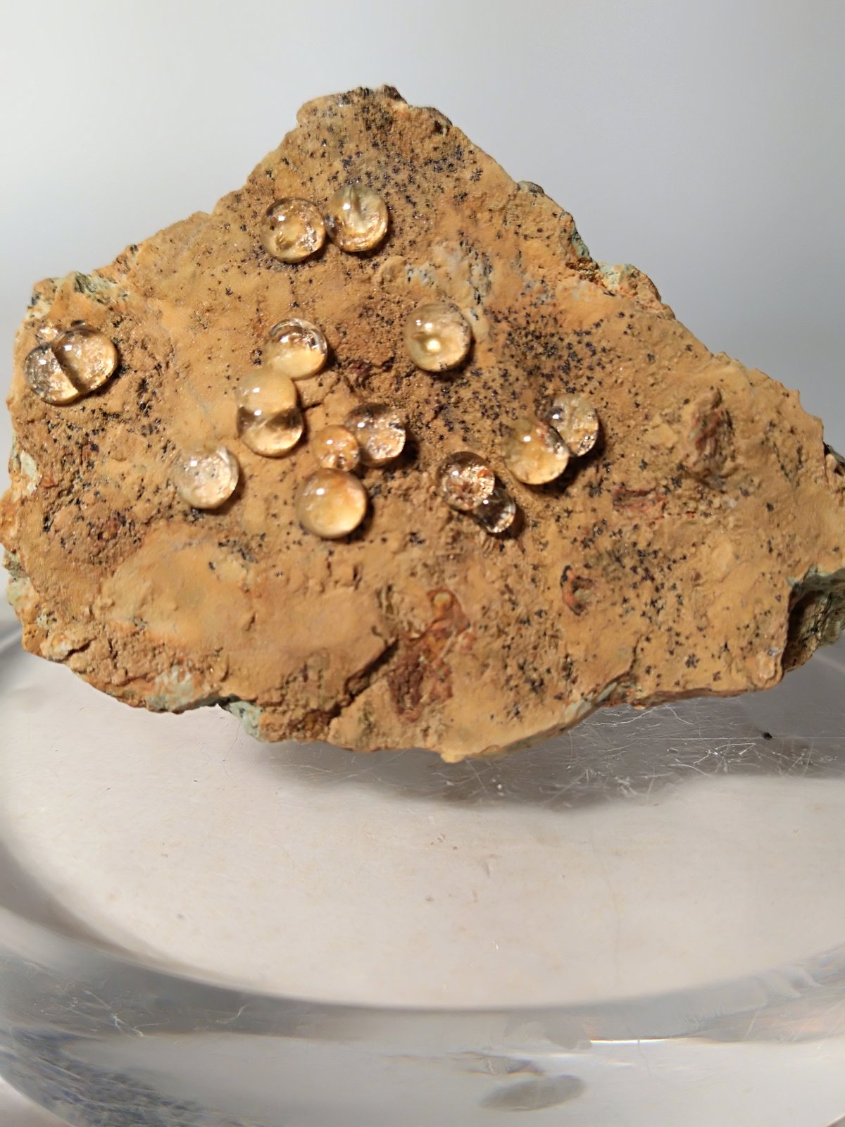 Melanoflogita
42,8 x 31,7 mm
(Autor: Sante Celiberti)