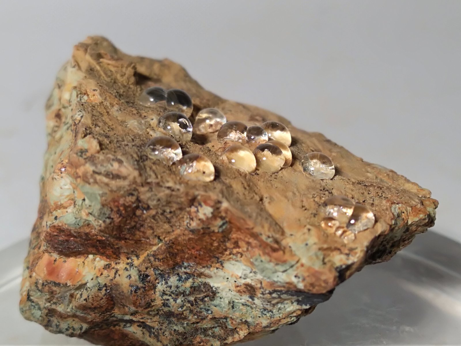 Melanoflogita
42,8 x 31,7 mm
(Autor: Sante Celiberti)
