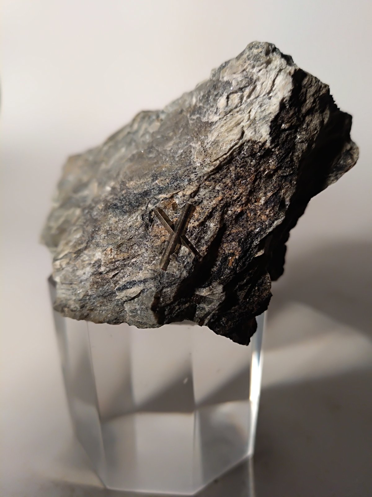 Arsenopirita
56 x 55 mm
(Autor: Sante Celiberti)