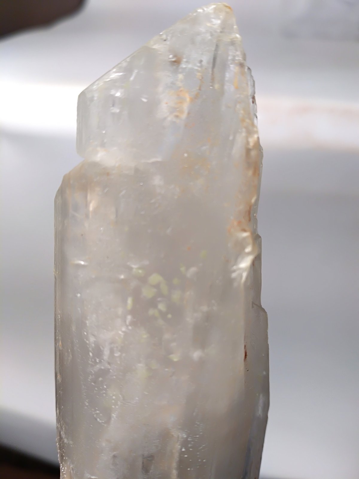 Yeso, Azufre, Pirita
200 x 137 mm
(Autor: Sante Celiberti)