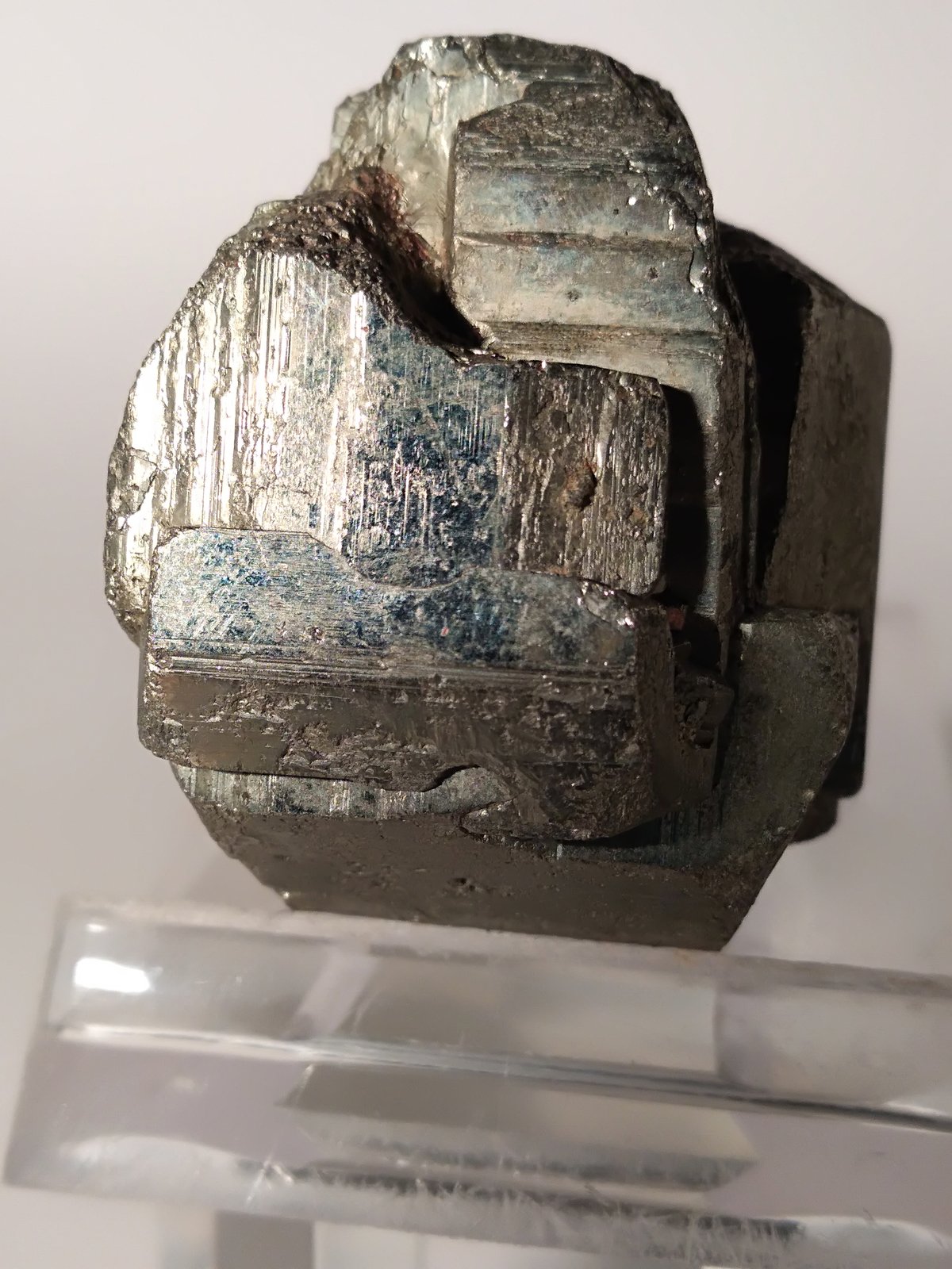 Pirita
43,6 x 36
(Autor: Sante Celiberti)
