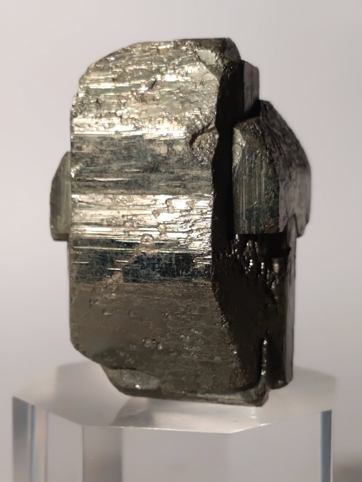 Pirita
43,6 x 36 mm
(Autor: Sante Celiberti)