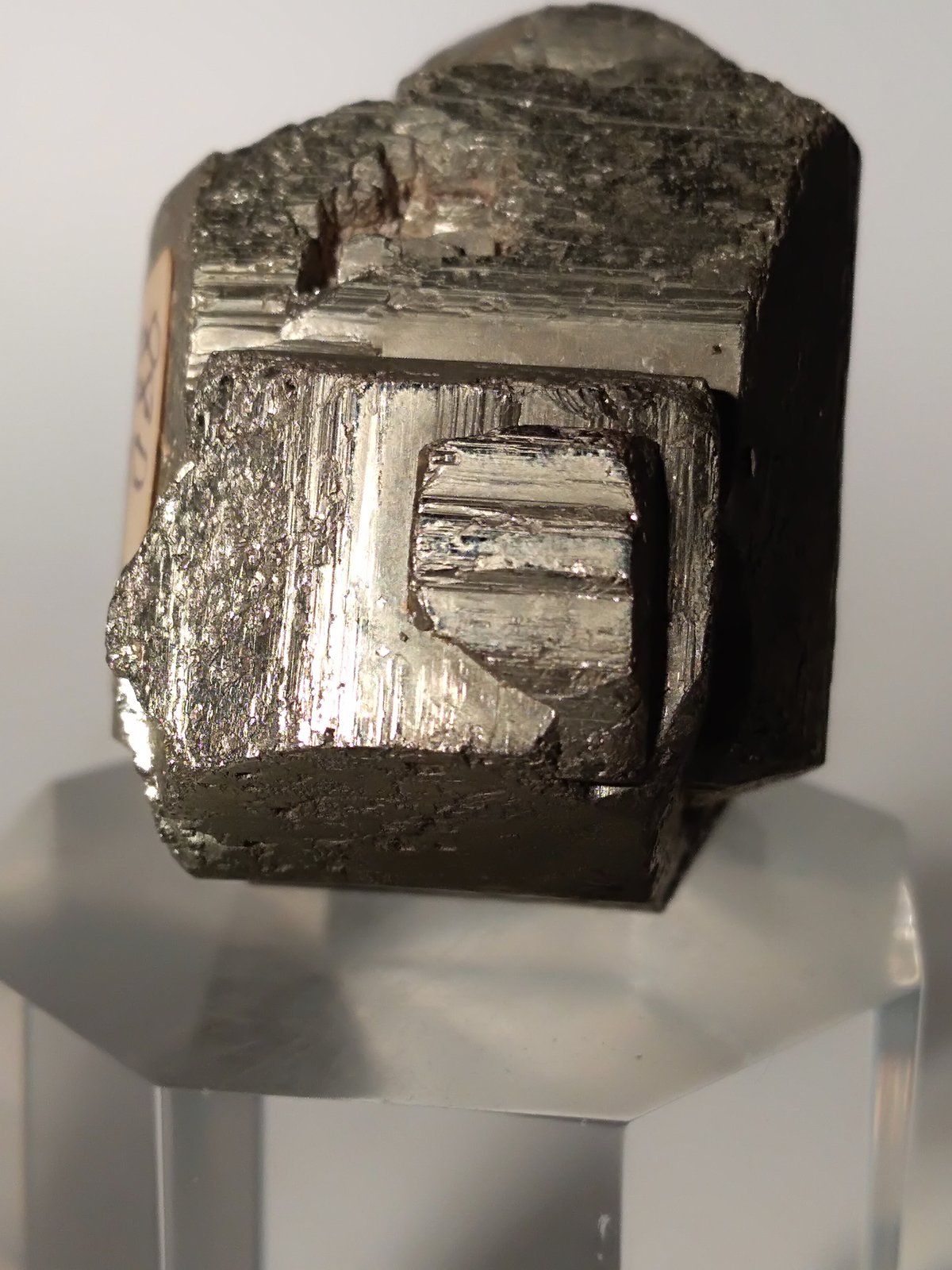 Pirita
43,6 x 36
(Autor: Sante Celiberti)