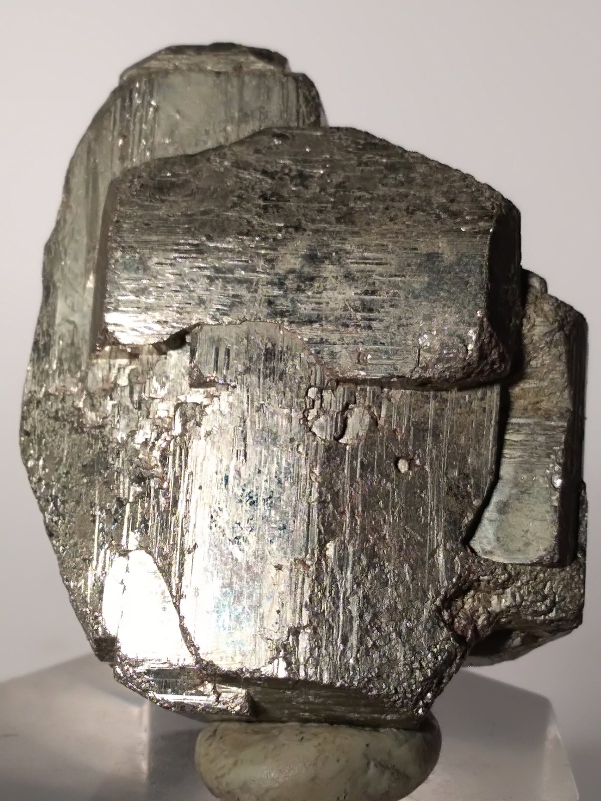 Pirita
43,6 x 36
(Autor: Sante Celiberti)