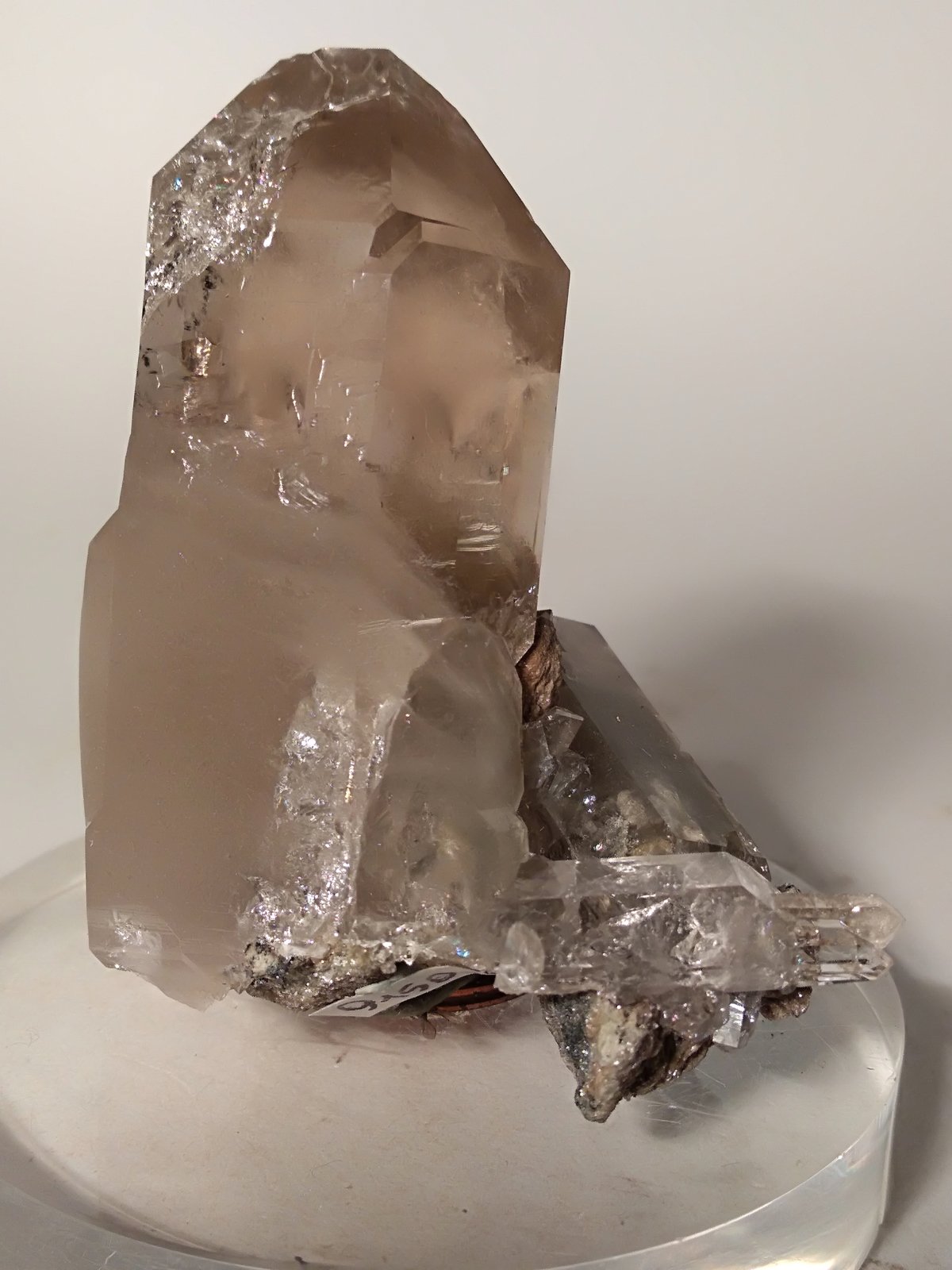 Cuarzo (variedad ahumado)
55 x 46 mm
(Autor: Sante Celiberti)
