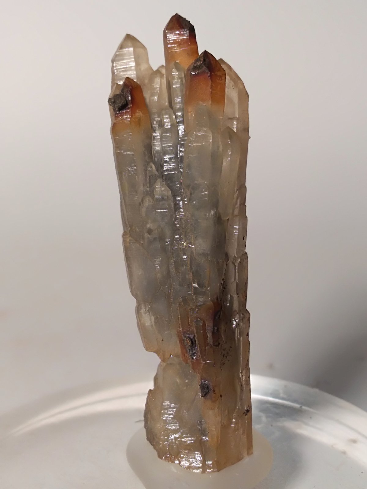 Cuarzo (variedad prasio, variedad cetro), Goethita pseudomórfica de Pirita
55 x 18 mm
(Autor: Sante Celiberti)