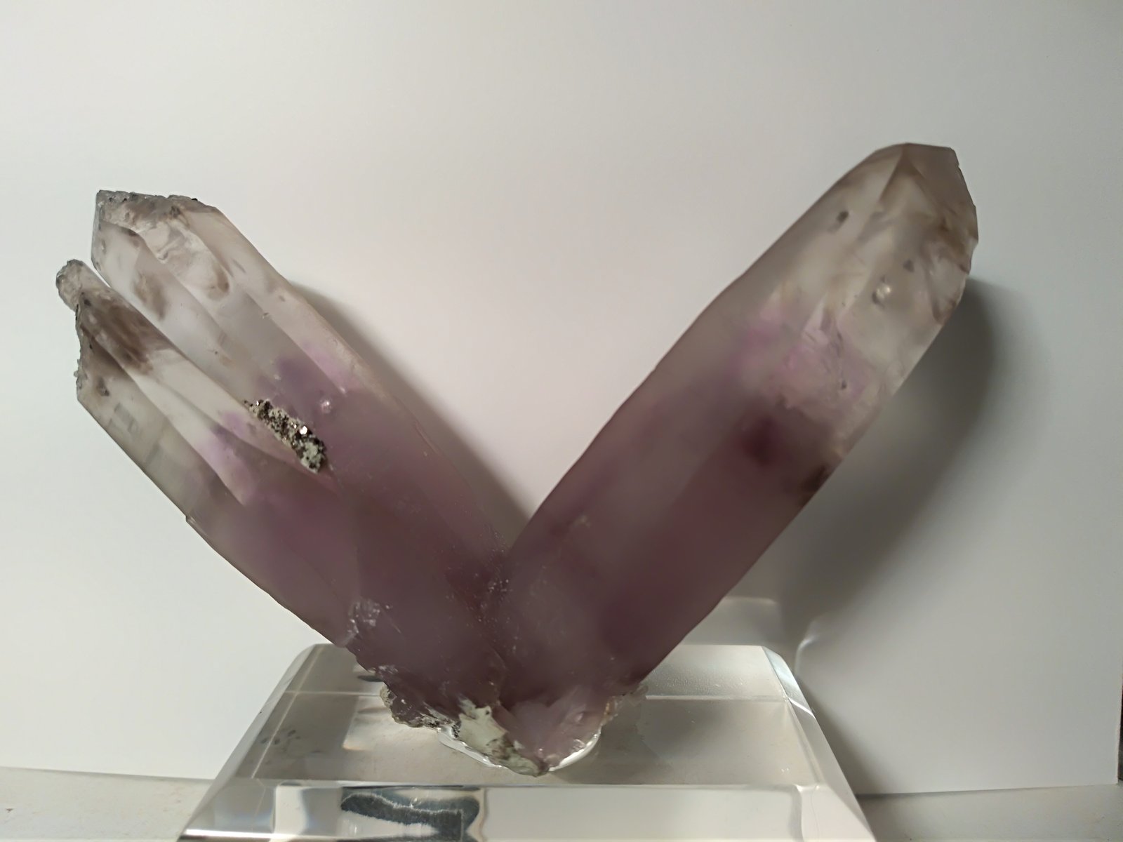 Cuarzo, Pirita
72,6 x 49 mm
(Autor: Sante Celiberti)