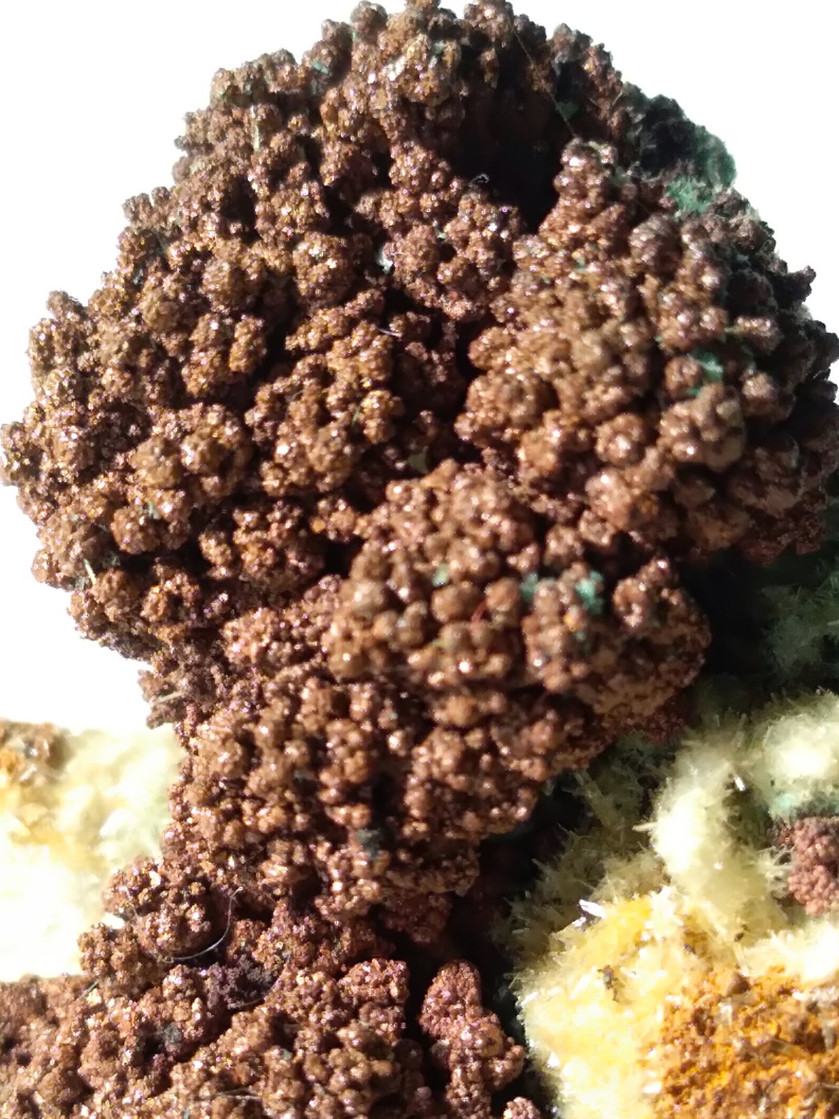 Cobre, Yeso, Malaquita
37 x 32,6 mm
(Autor: Sante Celiberti)