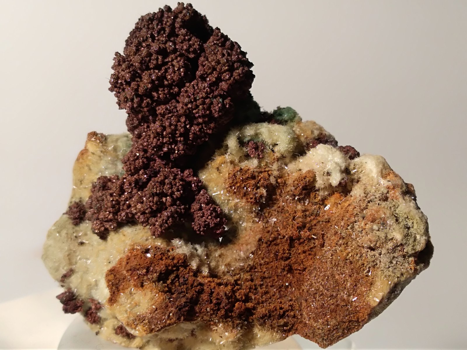 Cobre, Yeso, Malaquita
37 x 32,6 mm
(Autor: Sante Celiberti)