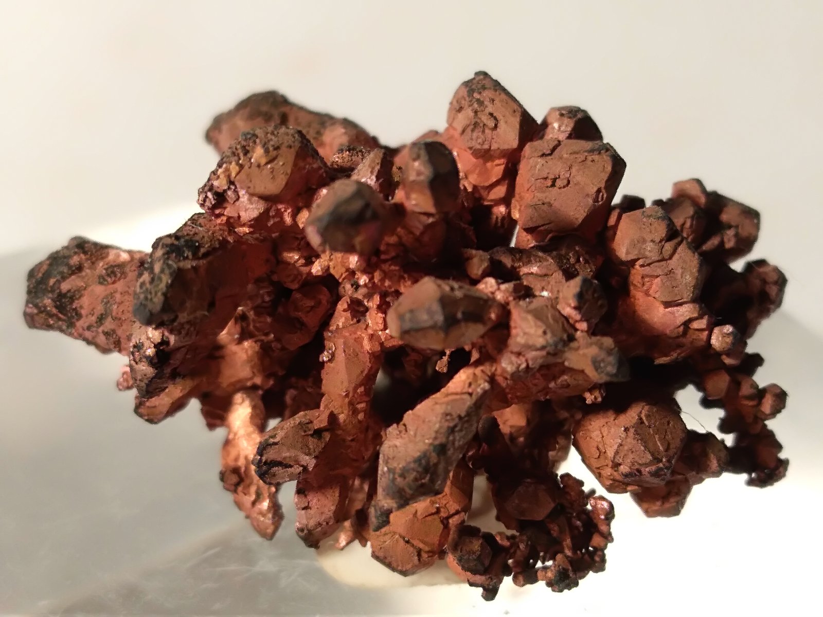 Cobre
25,6 x 20 mm
(Autor: Sante Celiberti)