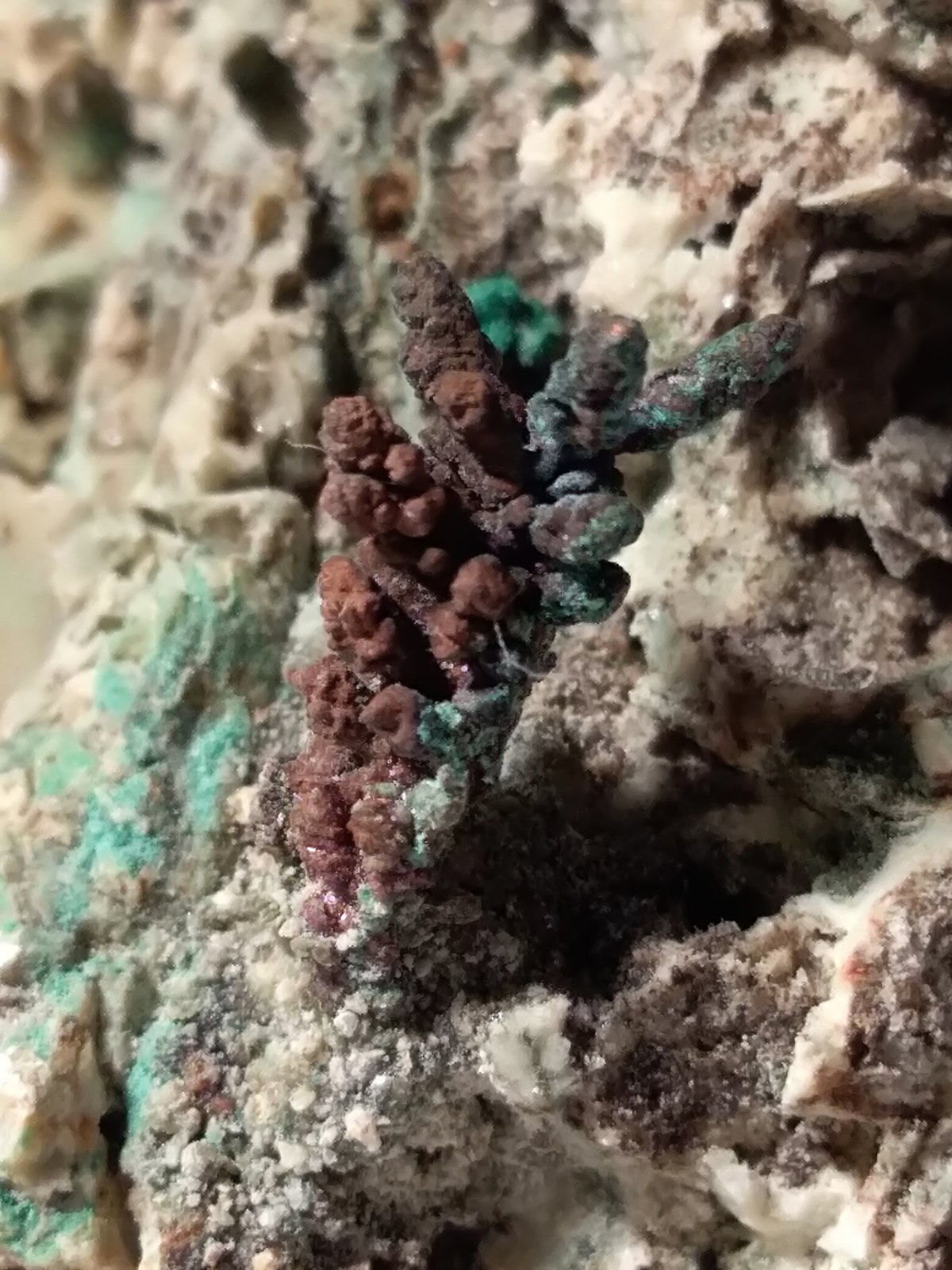 Cobre, Malaquita
72,3 x 54,5 mm
(Autor: Sante Celiberti)