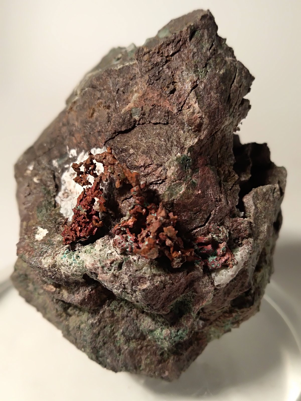 Cobre
52,5 x 44,3 mm
(Autor: Sante Celiberti)